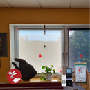 Elektrische Fensterrollo mit Funk-Akkumotor 12V + Sender | Montage ohne Bohren | bis 1,4m Breite & 2,5m Länge